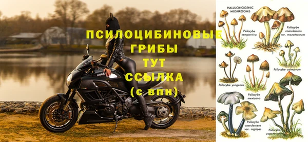 мяу мяу мука Абинск