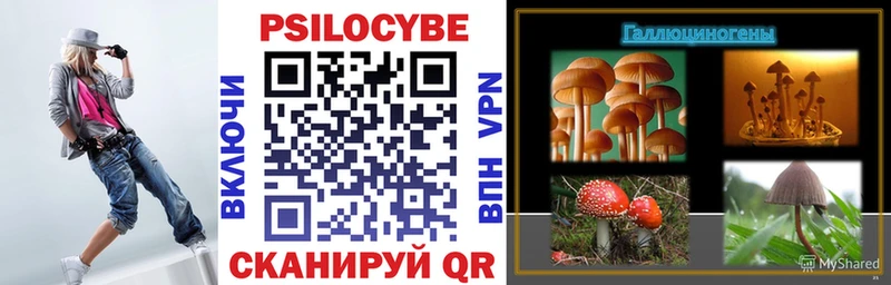 Псилоцибиновые грибы мухоморы  блэк спрут   Тавда 
